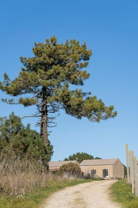 Itacahomes Casa Noro Ribeira Eksteriør billede